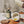 No. 2 - Spanish, 100% Extra Virgin Olive Oil | Branche