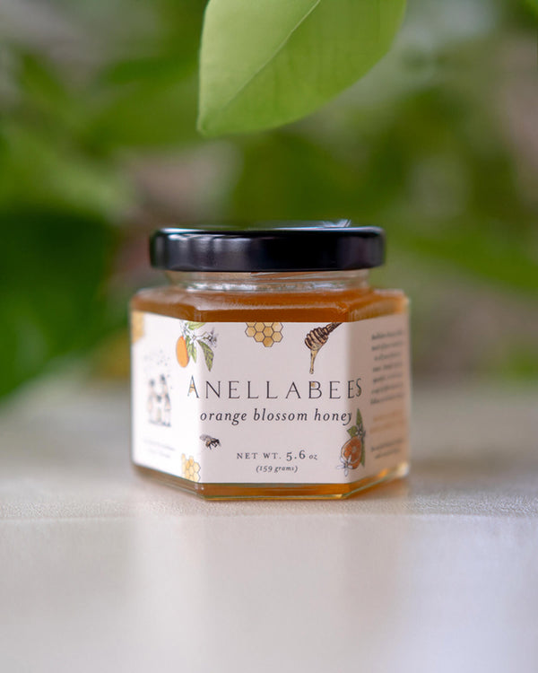Orange Blossom Honey | Anellabees