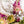 arrangement by florists in denver colorado