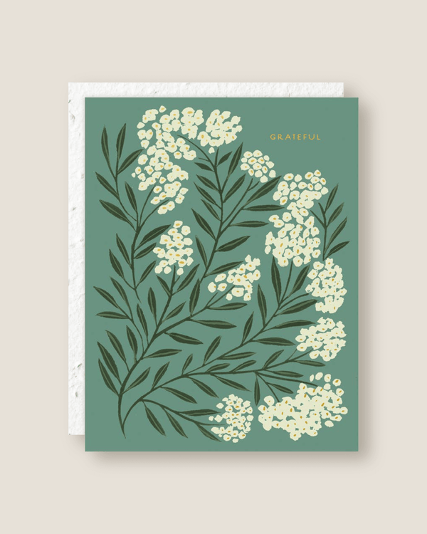 Grateful | Seedlings