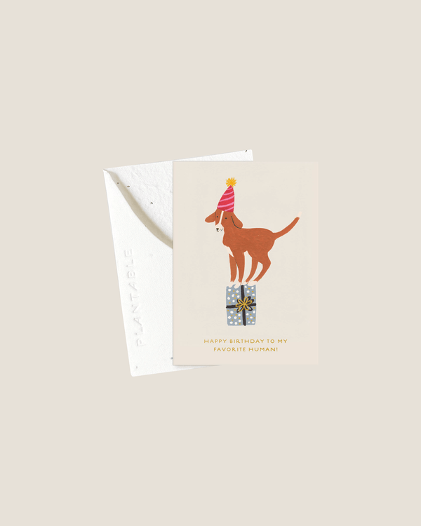 Happy Birthday Puppy - Mini Card | Seedlings