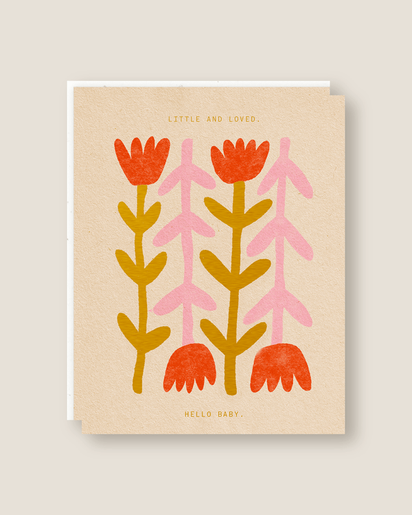 Little and Loved | Someday Studio