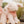 Fluffy pink pig with a red checkered scarf sitting on a wooden surface with grass in the background.