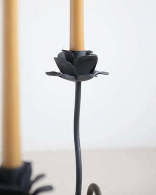 Rana Iron Candelabra | Floral Society