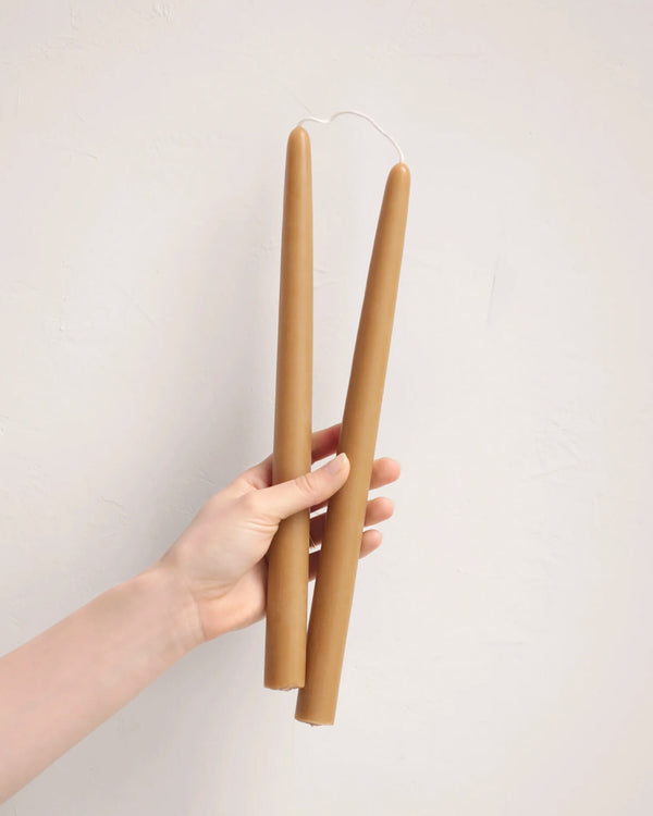 Beewax Taper Candles – 12″ | The Floral Society