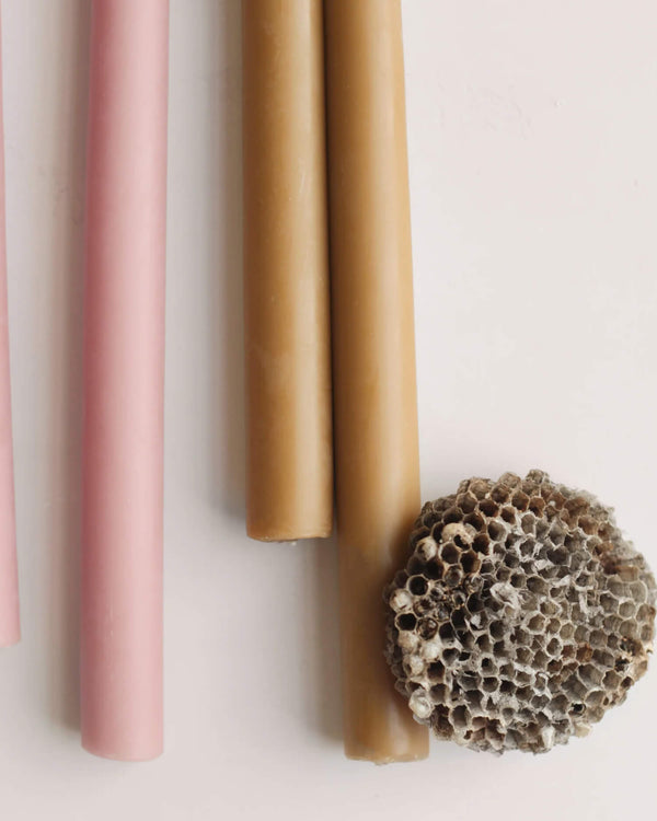 Beewax Taper Candles – 12″ | The Floral Society