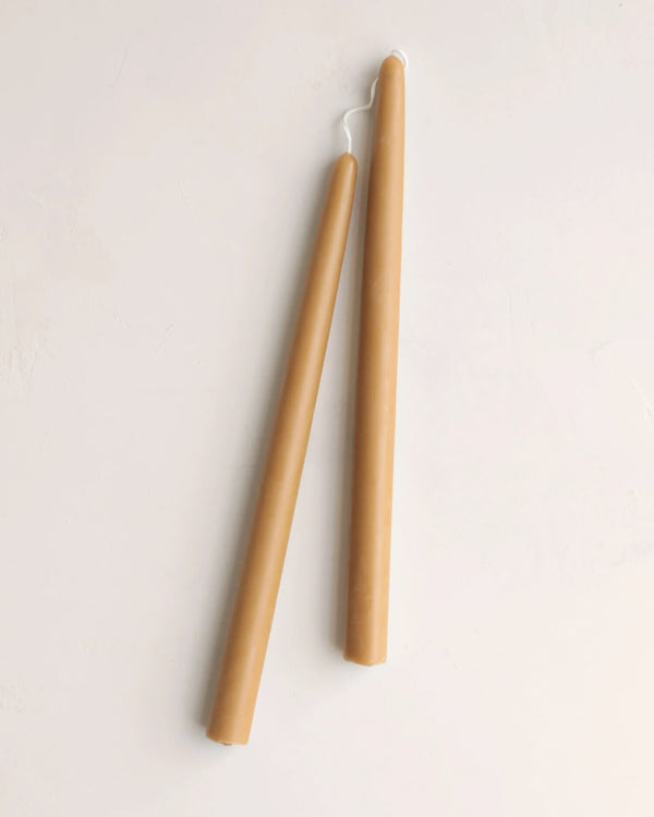 Beewax Taper Candles – 12″ | The Floral Society