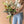 Signature Wrapped Bouquet | Various Sizes