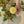 Classic Arrangement 2