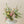 Classic Arrangement 2