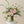 Grand Arrangement