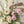 Lush Arrangement