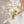Seasonal elopement bridal bouquet in a contemporary white palette, designed with airy, organic florals.