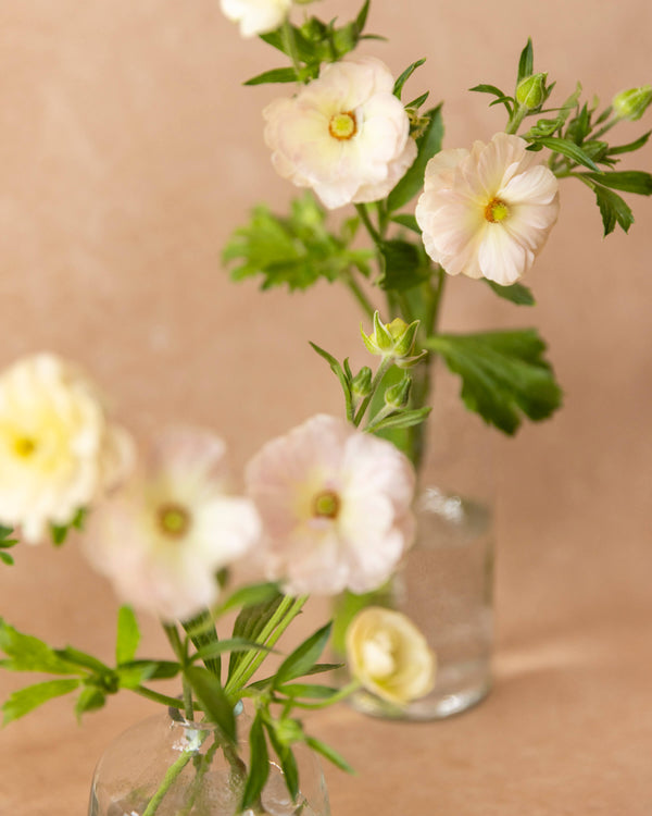 Small bud vase with delicate white and blush flowers in clear glass — Mother's Day gift from Landfall Floral Co., Edgewater florist.