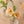 Peach tulip bud vase for Mother's Day — a single stem in clear glass with wild greenery, Landfall Floral Co. in Edgewater, Denver.