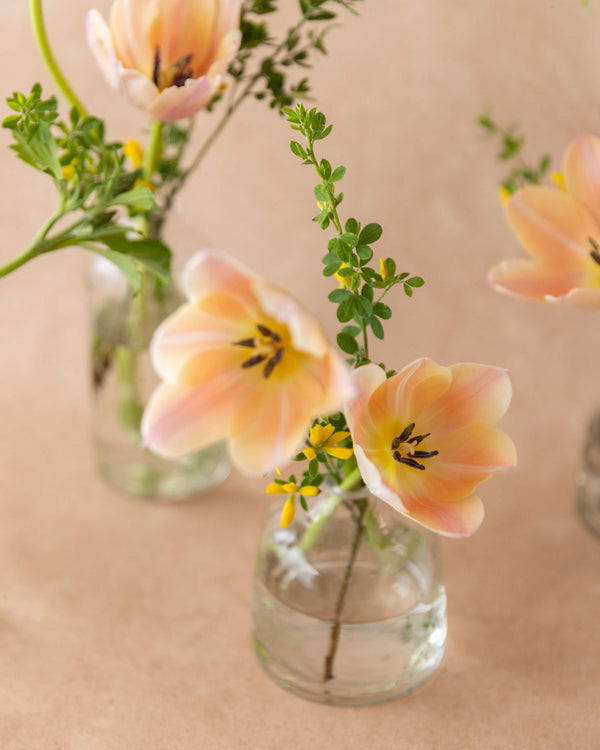 Peach tulip bud vase for Mother's Day — a single stem in clear glass with wild greenery, Landfall Floral Co. in Edgewater, Denver.