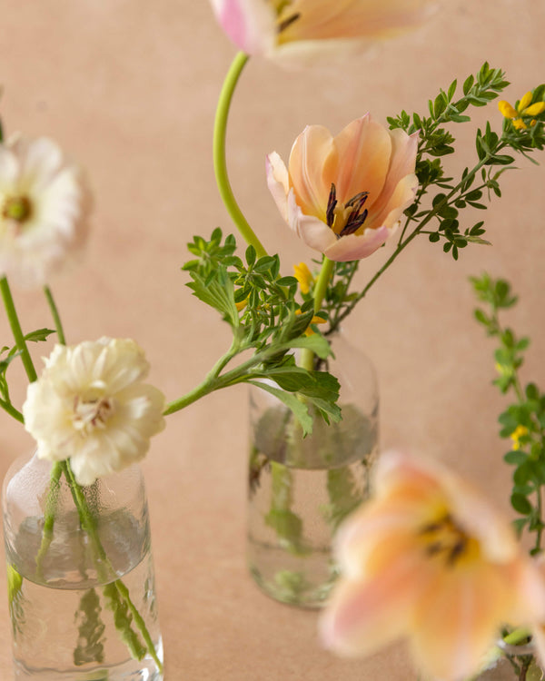 Mother's Day Bud Vase close-up — a peach tulip and white ranunculus in a small clear glass vessel, hand-arranged by Landfall Floral Co.