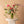 Mother's Day Classic Arrangement — grand garden-style arrangement with peony tulips, spray roses, and ranunculus in peach and blush, hand-arranged by Landfall Floral Co. in Edgewater, Denver