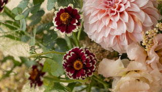 Blush peach and pink dahlias, burgundy zinnias, and delicate seasonal blooms in a lush, garden-inspired floral arrangement.