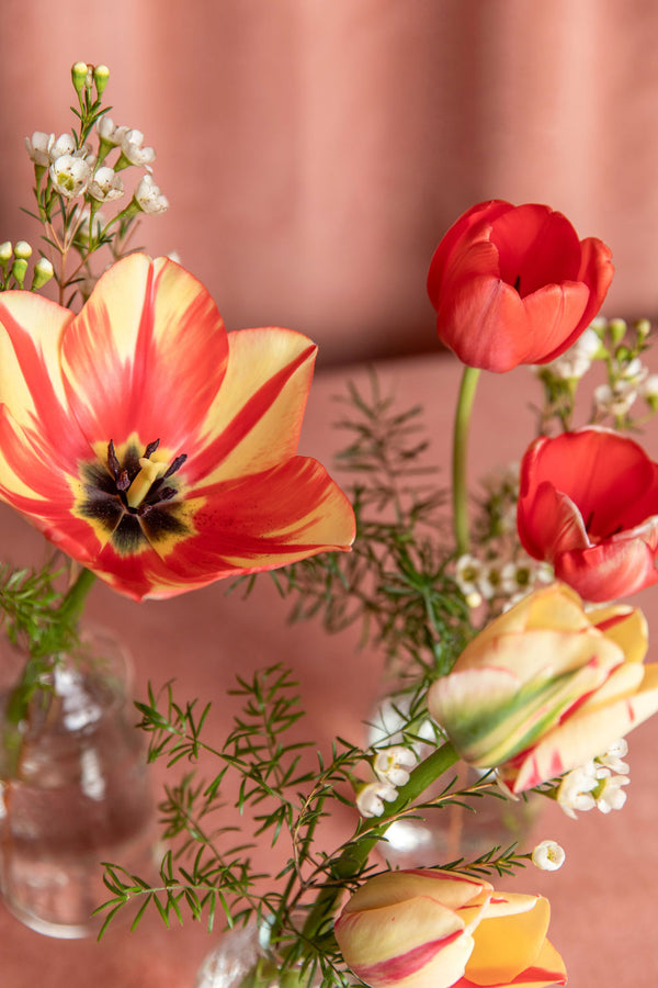 Close-up detail of tulips and waxflower from the Lovebug Valentine’s Day bud vase, highlighting soft color and texture.